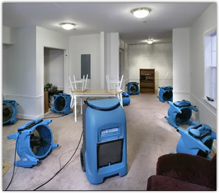 Odor Removal & Deodorization in Greenville, MS