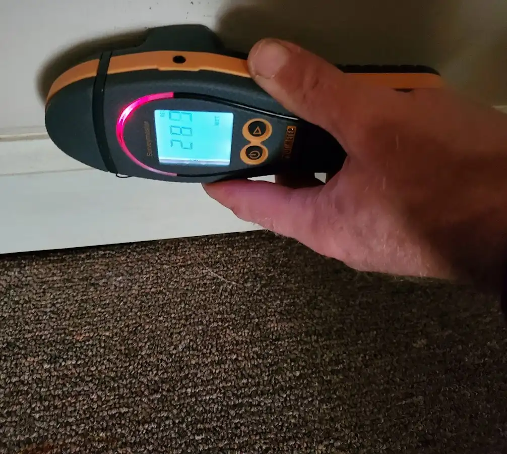 Moisture detection at baseboard during Mold Inspection & Testing in Greenville